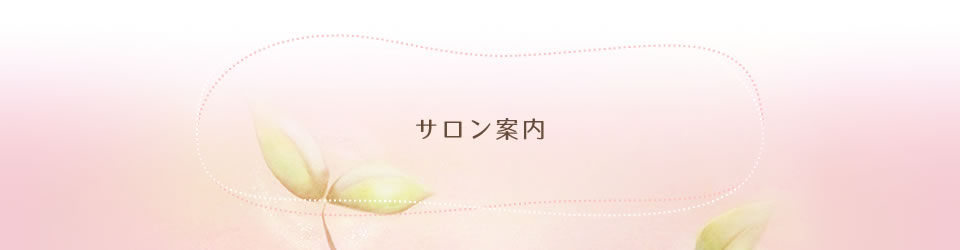 サロン案内
